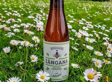 Hidromiel Zángana