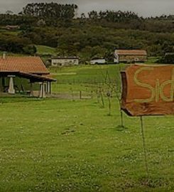 Sidra Guimarán